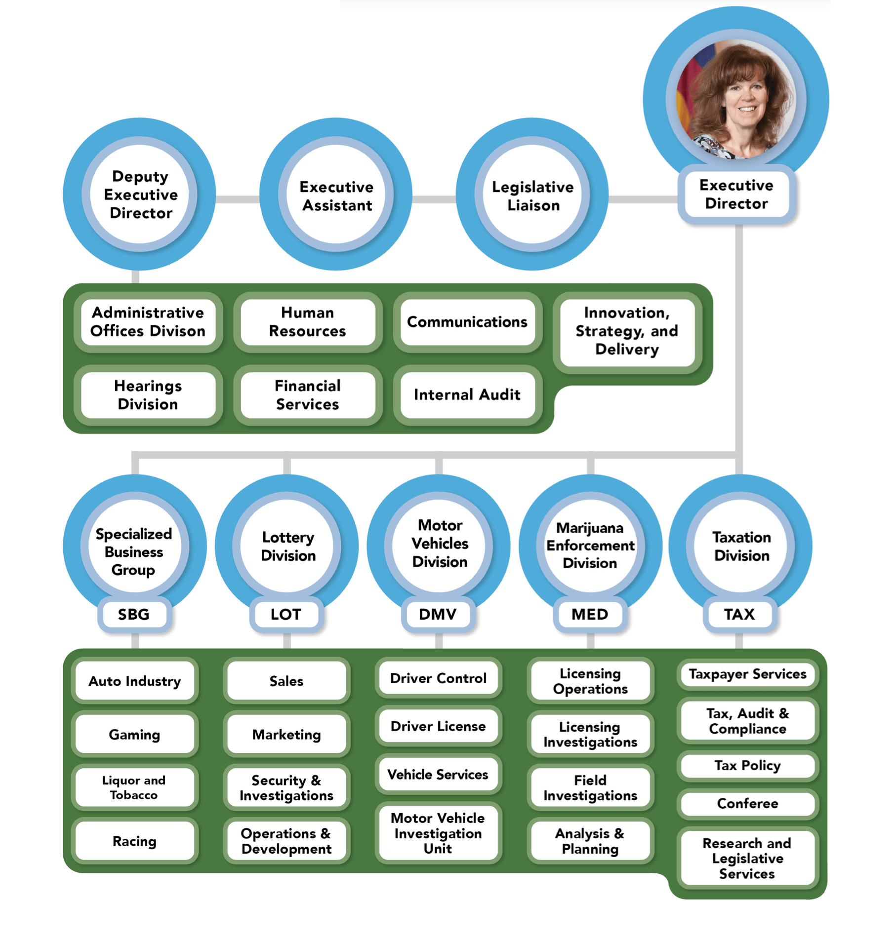 An organizational chart showing the Executive Director and departments under that position.