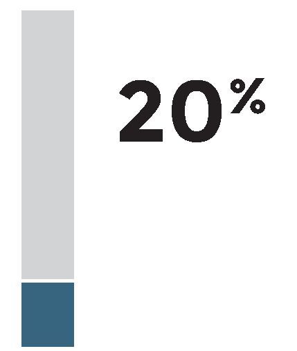 bar chart showing 20%