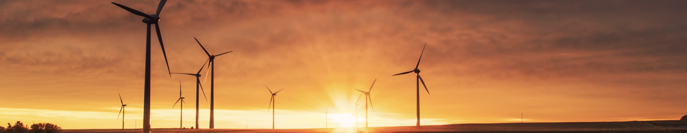 wind turbine in a field at sunset