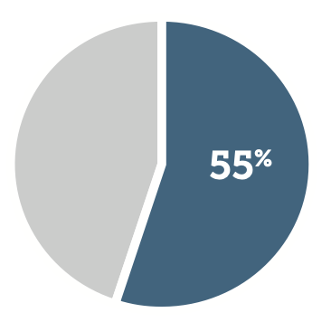 Pie chart showing 55%