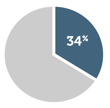 Pie chart showing 34%