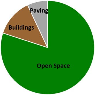pie chart